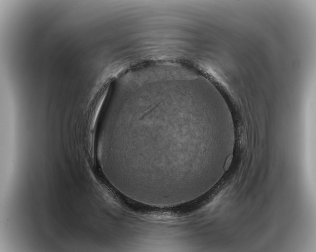 X0000087370685200704271455