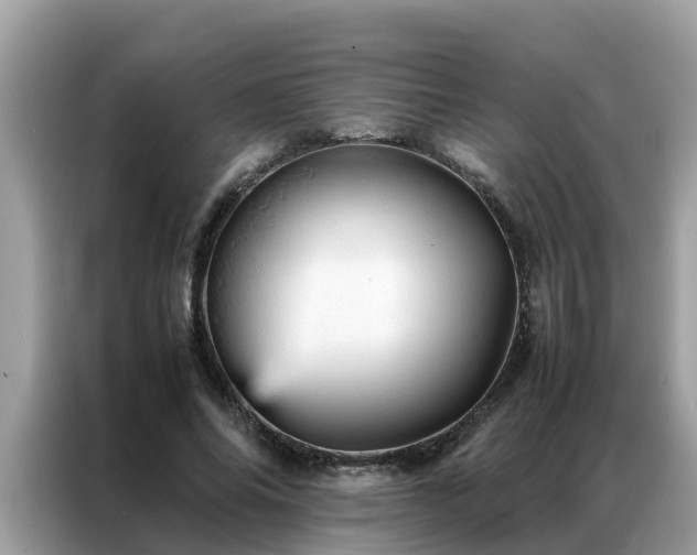 X0000087370686200704271455