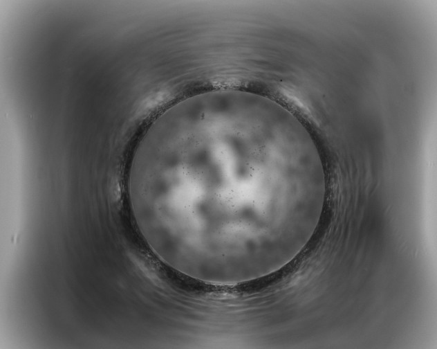 X0000087370687200704271455