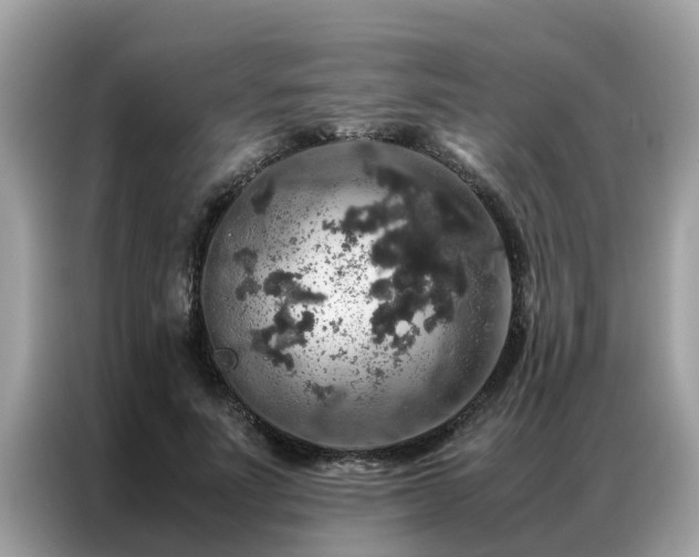 X0000087370691200704271455