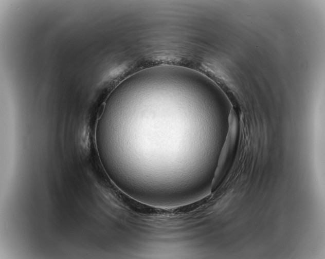 X0000087370692200704271455