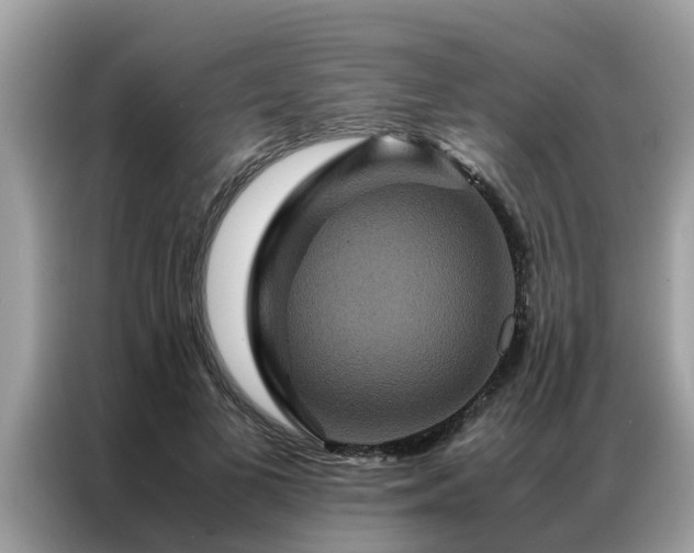 X0000087370693200704271455