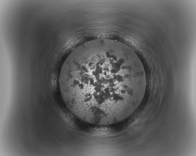 X0000087370695200704271455