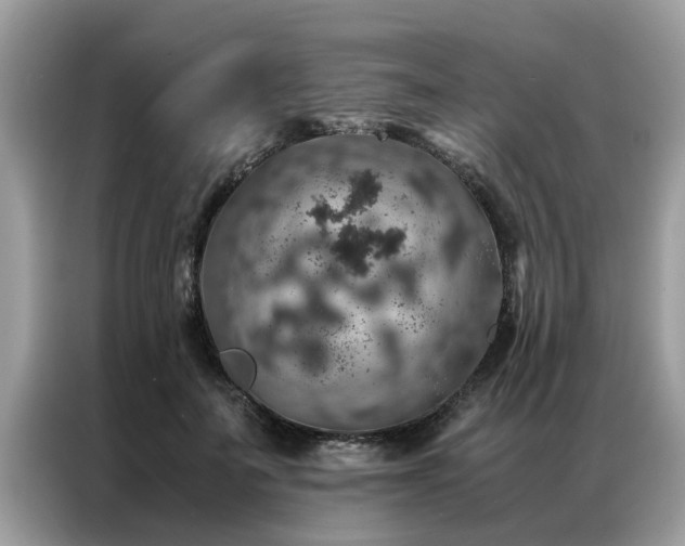 X0000087370699200704271455