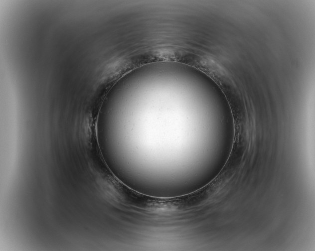 X0000087370702200704271455