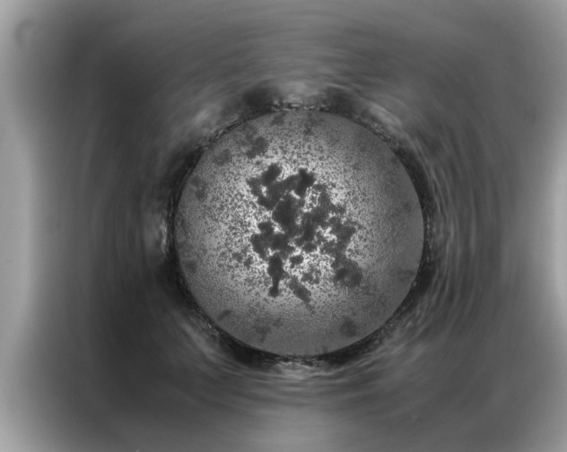 X0000087370703200704271455