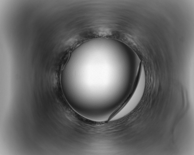 X0000087370704200704271455