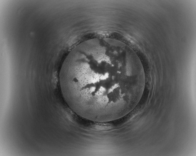 X0000087370707200704271455