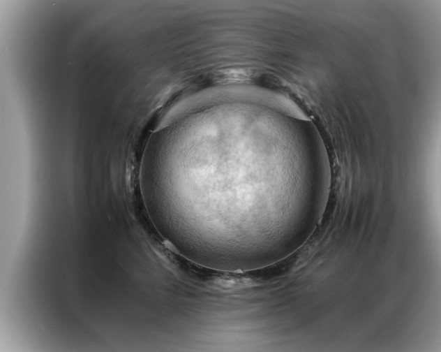 X0000087370712200704271455