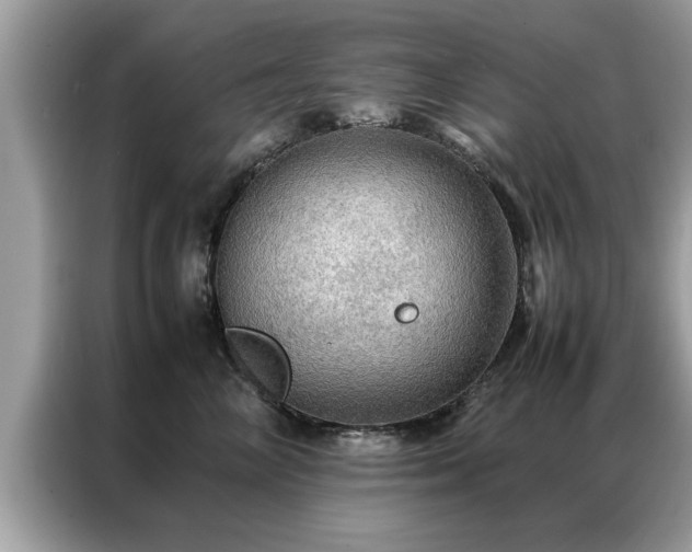 X0000087370714200704271455