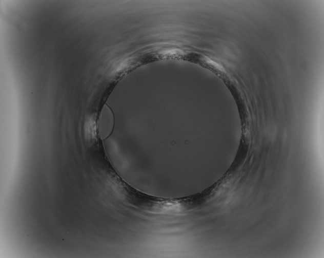 X0000087370715200704271455