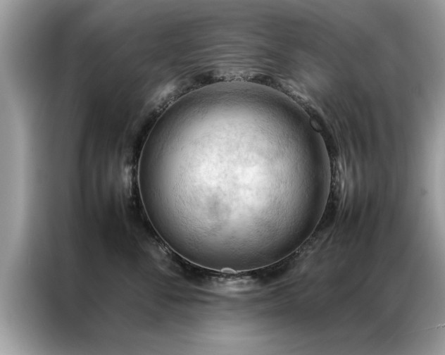 X0000087370716200704271455
