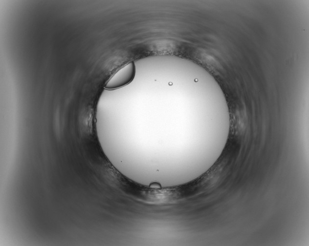 X0000087370717200704271455