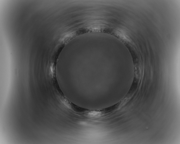 X0000087370718200704271455