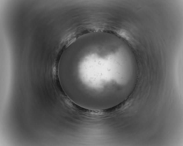 X0000087370720200704271455