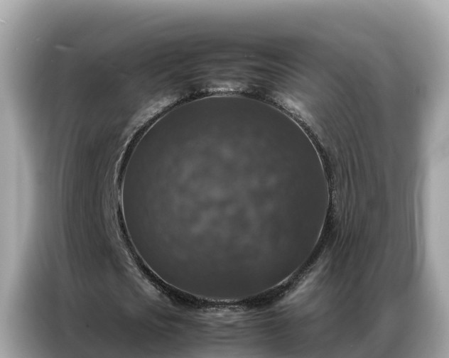 X0000087370721200704271454