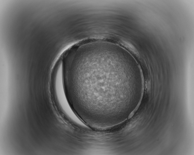 X0000087370724200704271454