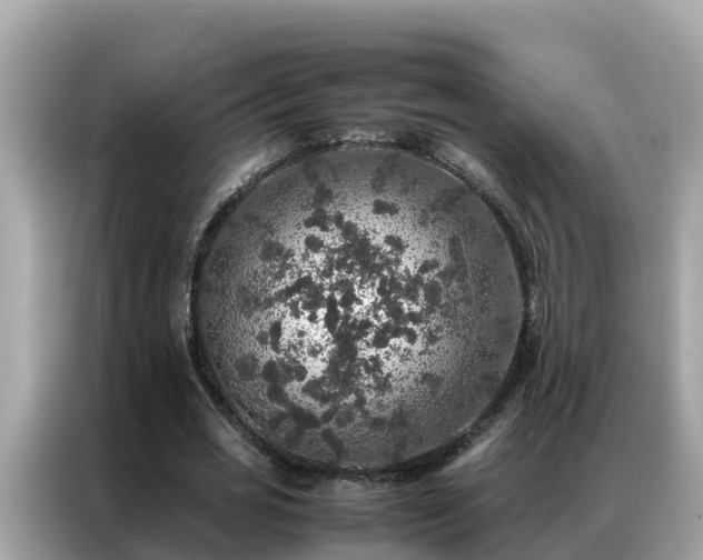 X0000087370725200704271454