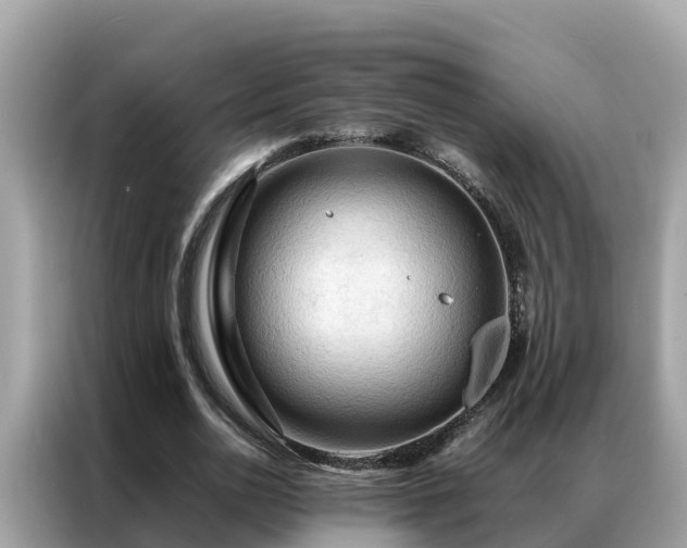 X0000087370726200704271454