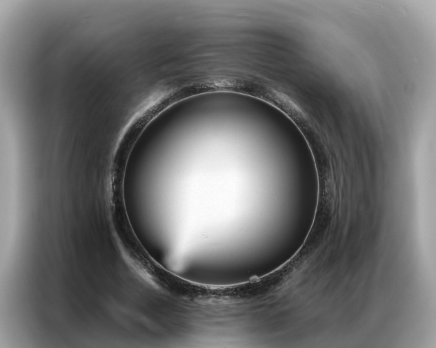 X0000087370730200704271454