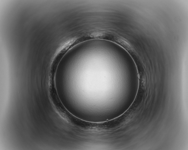 X0000087370732200704271454