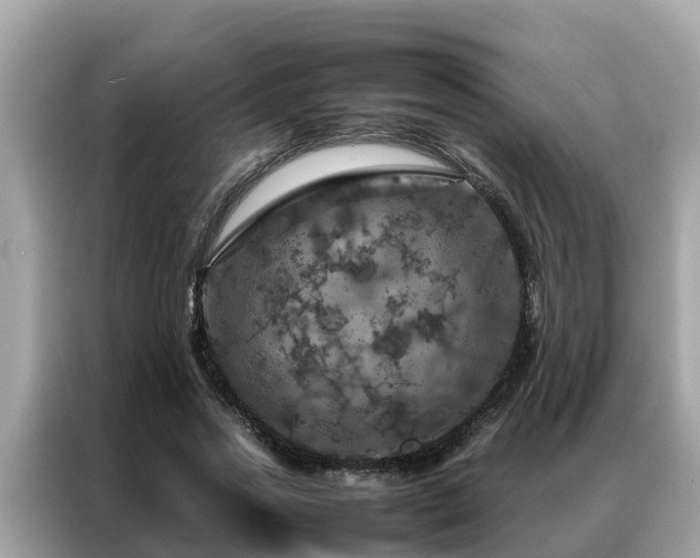 X0000087370733200704271454