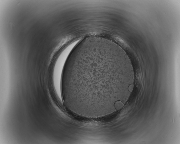 X0000087370734200704271454