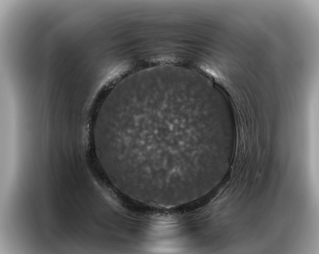X0000087370735200704271454