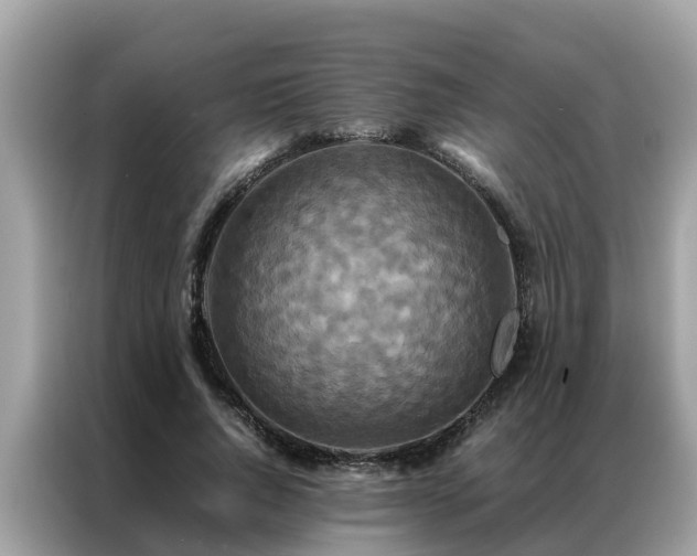 X0000087370736200704271454