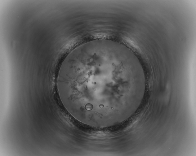 X0000087370737200704271454