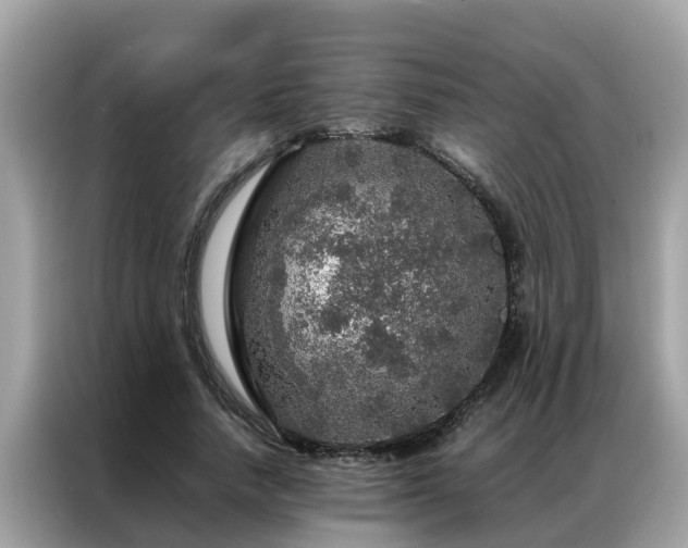 X0000087370738200704271454