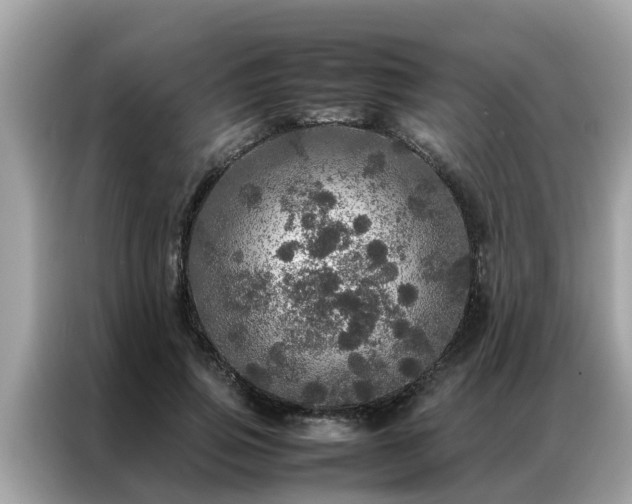X0000087370741200704271454