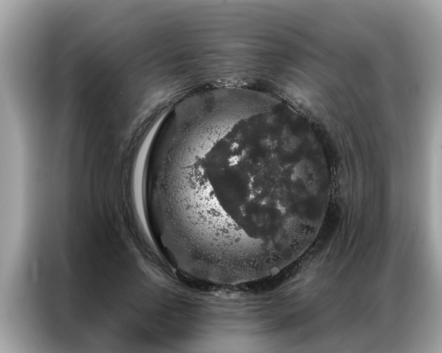 X0000087370742200704271454