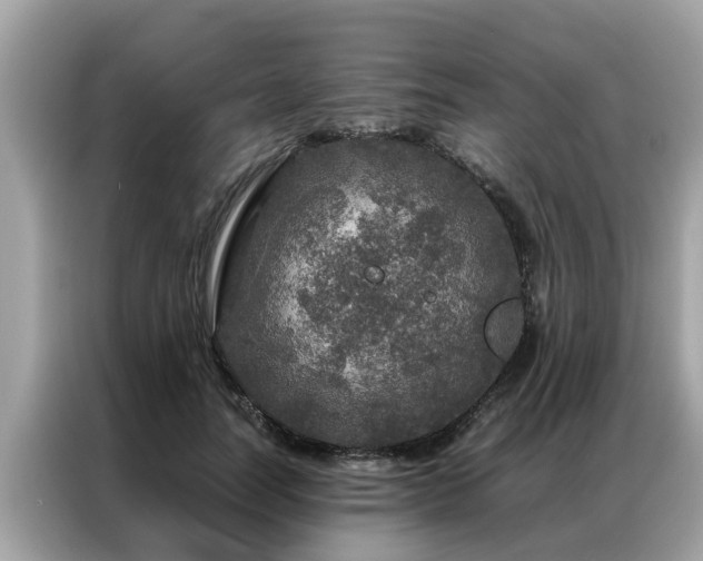 X0000087370746200704271454