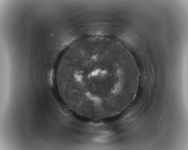 X0000087370747200704271454