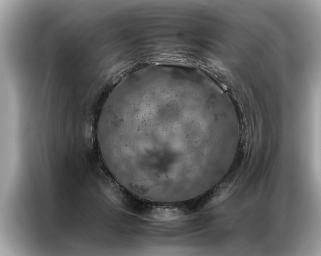 X0000087370749200704271455