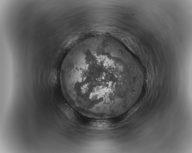 X0000087370758200704271455