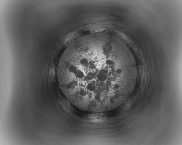 X0000087370761200704271455