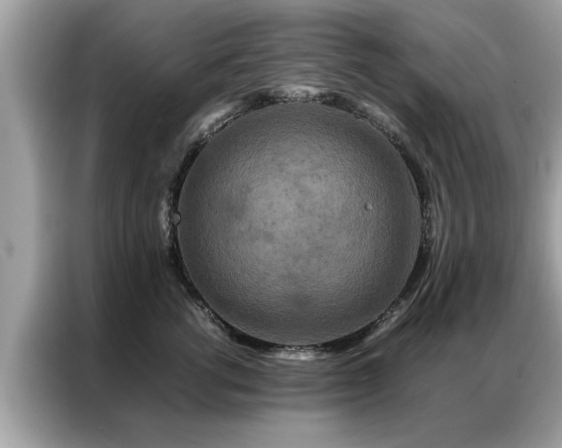 X0000087370762200704271455