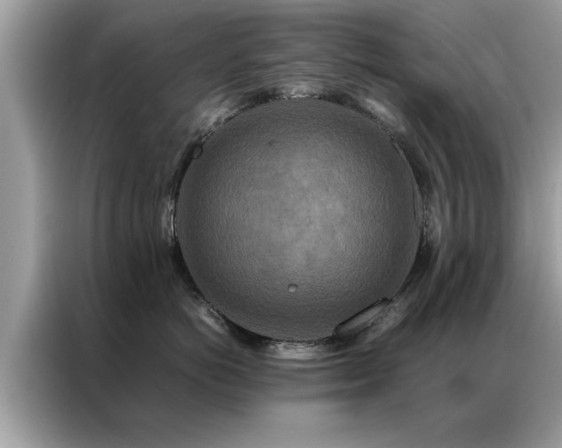 X0000087370766200704271455
