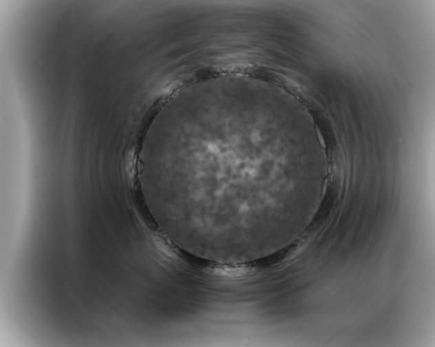 X0000087370767200704271455