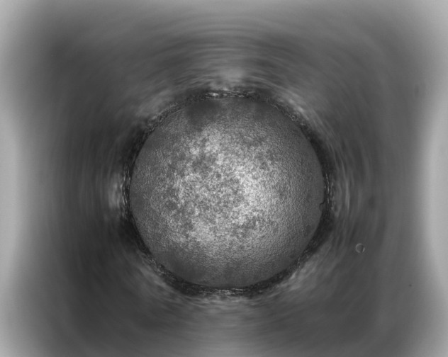 X0000087370770200704271454