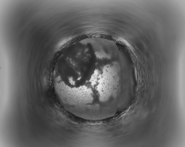 X0000087370775200704271454