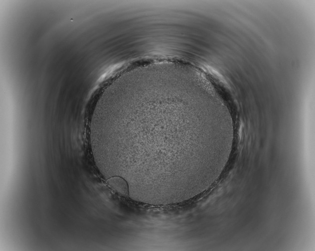 X0000087370776200704271454