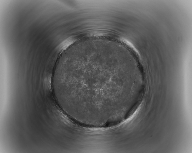 X0000087370777200704271454
