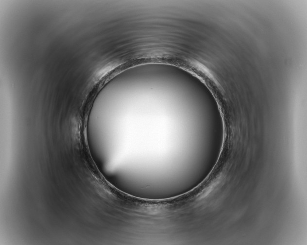 X0000087370778200704271454