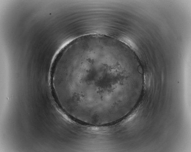 X0000087370780200704271454