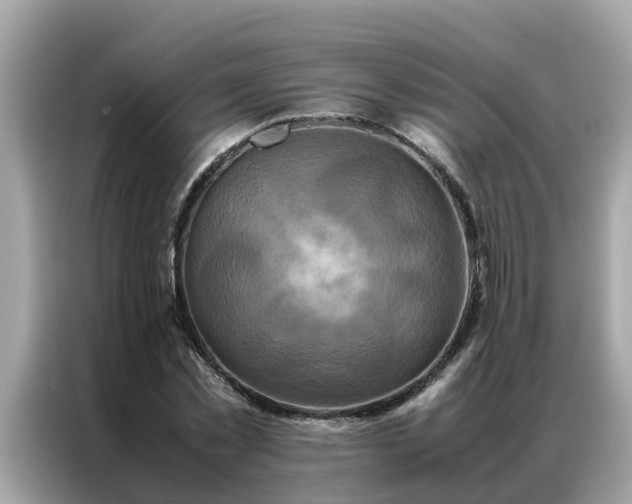 X0000087370781200704271454