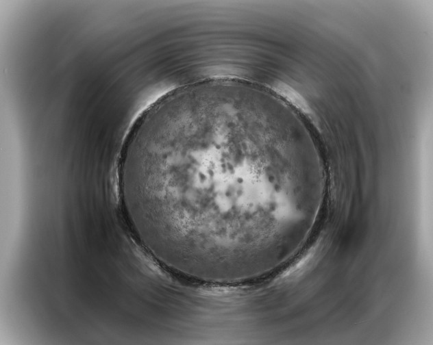 X0000087370782200704271454