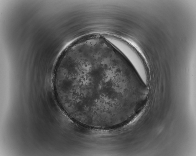 X0000087370783200704271454